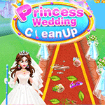 Princess Wedding Cleaning